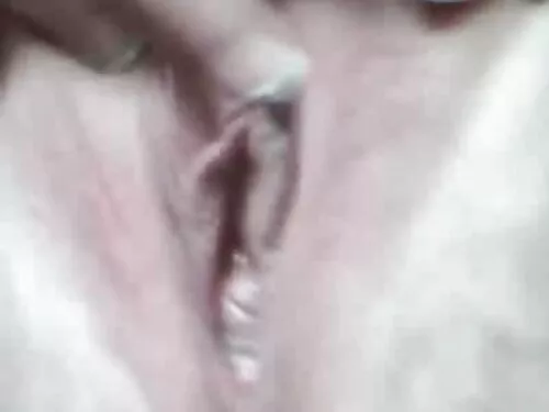 XXX باند همجنس گرایا ...